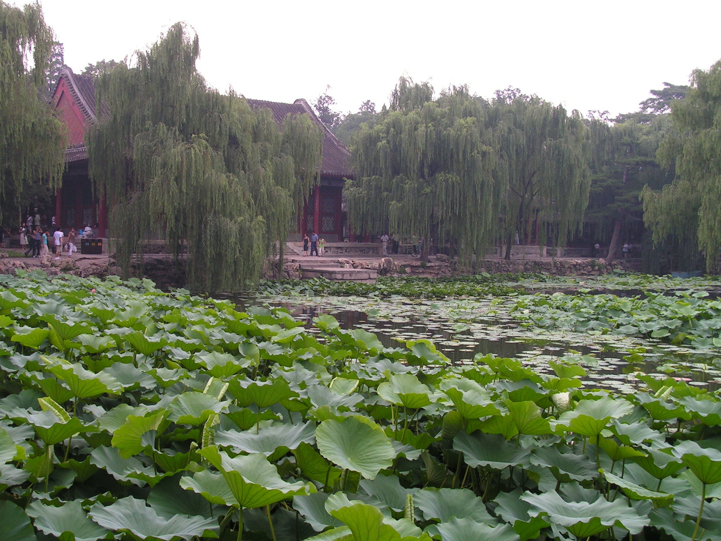 Beijing_20060724_015.jpg